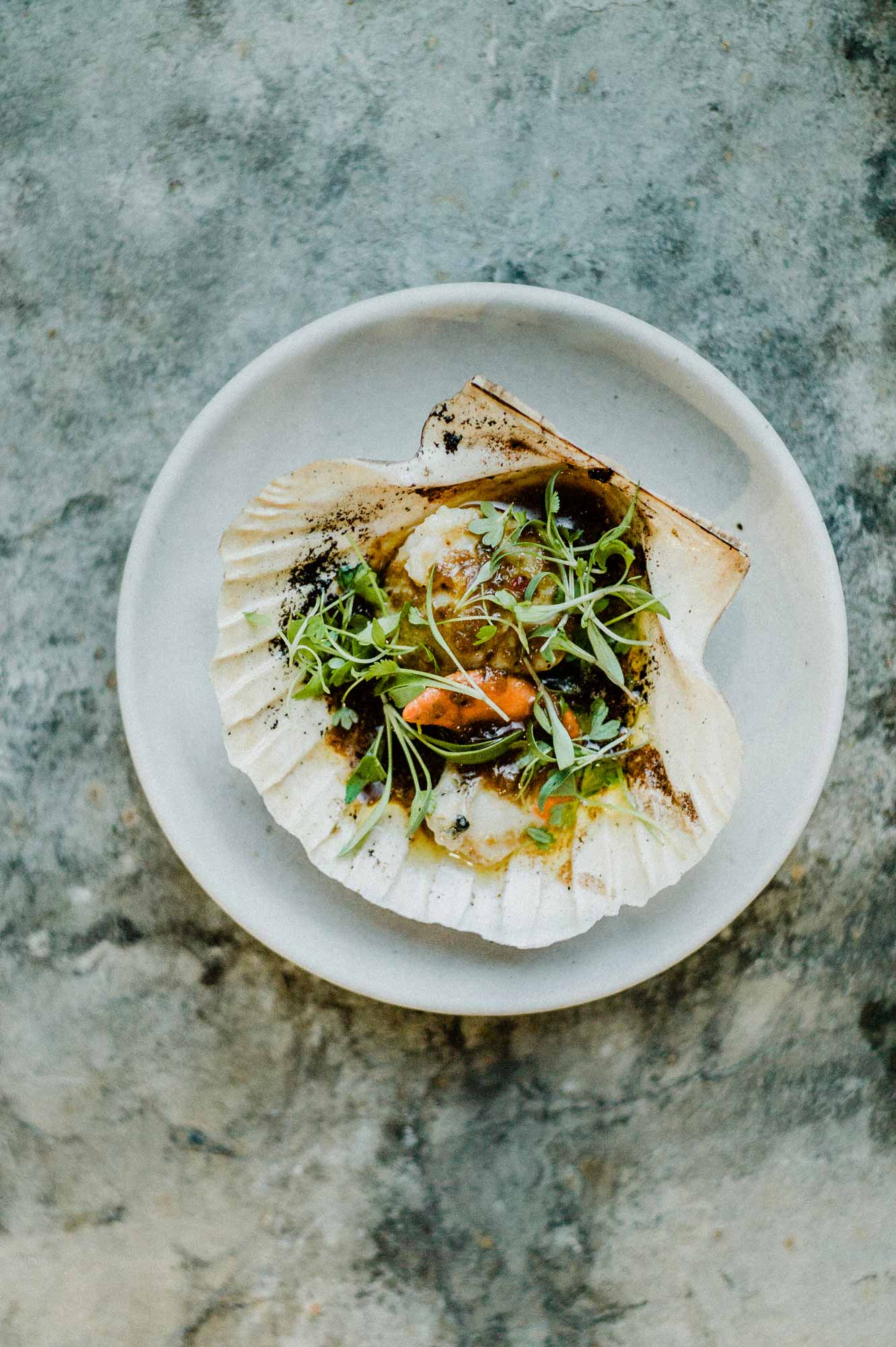 Fresh local scallop in its shell garnished with greens